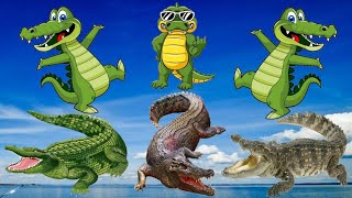 Learn Recognize Alligator and Crocodile, Learn Wild Animals,Crocodile Sounds, Learn Reptiles Animals by Nuka and Niku 161 views 1 year ago 8 minutes, 3 seconds