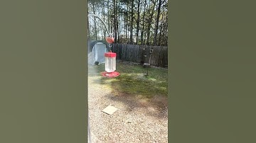 Fresh drinks for ruby throated hummingbird
