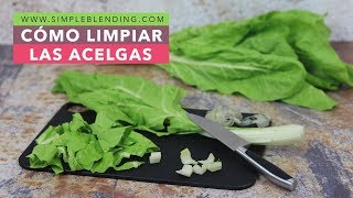 CÓMO LIMPIAR LAS ACELGAS | Cómo preparar las acelgas para cocinar | Limpiar acelgas en casa