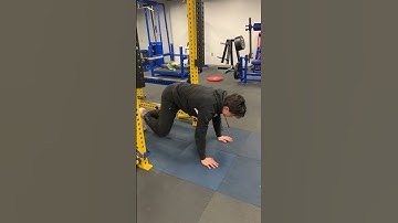 345 Assignment: Inverted row x pushup