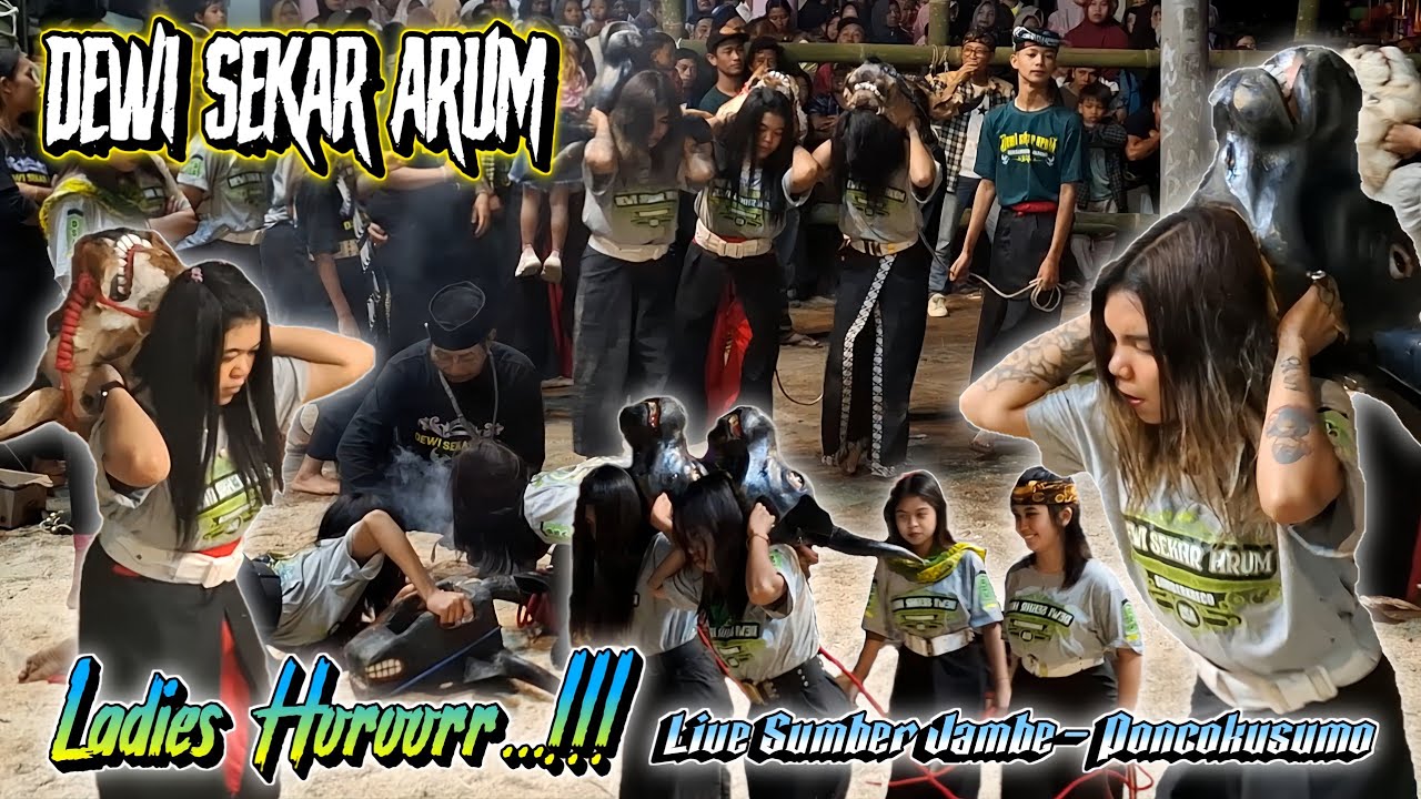 Kalapan Ladies Horoor... DEWI SEKAR ARUM || Cewek Cantik Kalap || Ngamuk Obrak Abrik