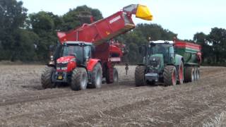 Arrachage des pommes de terre 2014 en Vendée (85) avec massey ferguson 7618 + Fendt 822