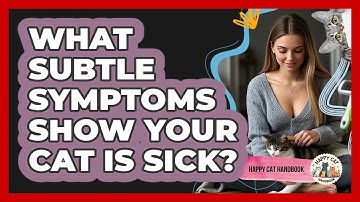 What Subtle Symptoms Show Your Cat Is Sick? - Happy Cat Handbook