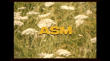 ASM - Beluga & Toast (Official Music Video)