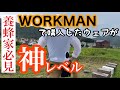 【ワークマン】WORKMANで購入したウェアが神レベルな件