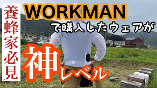 【ワークマン】WORKMANで購入したウェアが神レベルな件