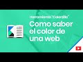 ✅ ¿Como saber que color usa una página web? | Extensión Colorzilla