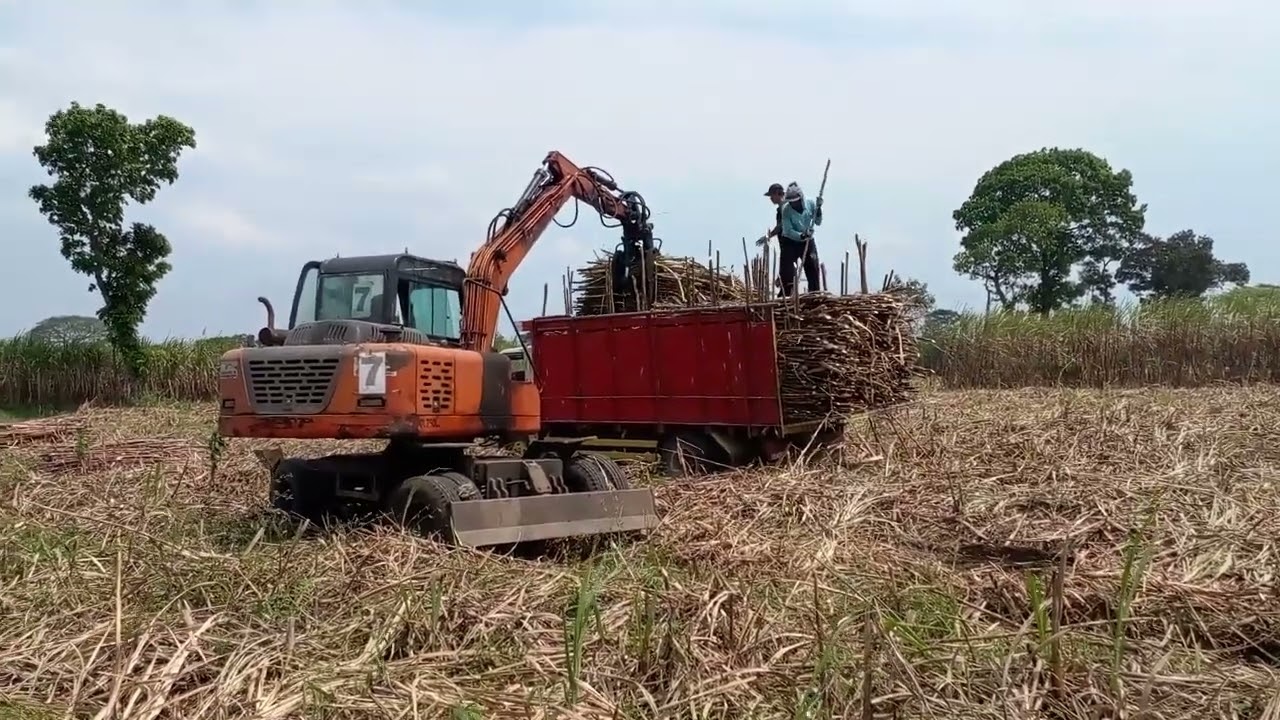PROSES MUAT TEBU MENGGUNAKAN GRAB LOADER