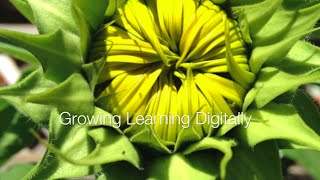 Guided Tour - Growing Learning Digitally