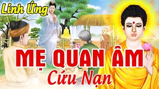 LINH ỨNG QUAN THẾ ÂM BỒ TÁT Từ Bi CỨU KHỔ CỨU NẠN Chúng Sinh Là Có Thật - Chuyện Nhân Quả 2024 Hay