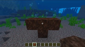 What If You Create a Wither in Water?