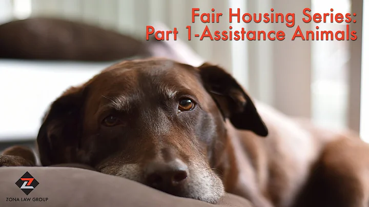 Part 1 of Fair Housing Series: Assistance Animals