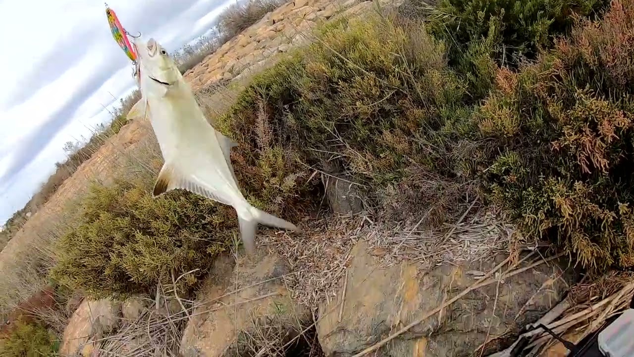 Рыбалка в Испании,ловим паламетона с берега на воблера.