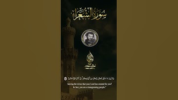 #قرآن #اسلام_صبحي #سورة الشعراء #راحة_نفسية