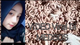 *VIDEO VIRAL 2022* BELATUNG DENGAN PHOTO GADIS TIK TOK CANTIK