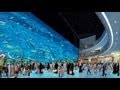 Dubai Aquarium & Underwater Zoo - Dubai Mall