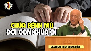 Chữa bệnh mù con Chúa ơi 🙏 Bài giảng Cha Phạm Quang Hồng Thứ Năm Tuần 8 TN Năm B 30/5/24