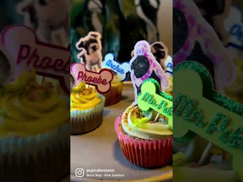 Video: Hunde Cutie Cupcakes