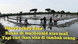 Download Lagu Begini jadi orang kampung yang tak punya tambak sukanya mencari ikan sisa panen 😊 MP3 Download Lagu Begini jadi orang kampung yang tak punya tambak sukanya mencari ikan sisa panen 😊 MP3