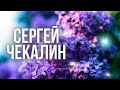 ♪  Простая и очень красивая мелодия для души. О вечном и светлом [Antistress Music]