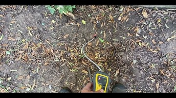 Gas leak at main line. / UEI Combustible Gas Leak Detector