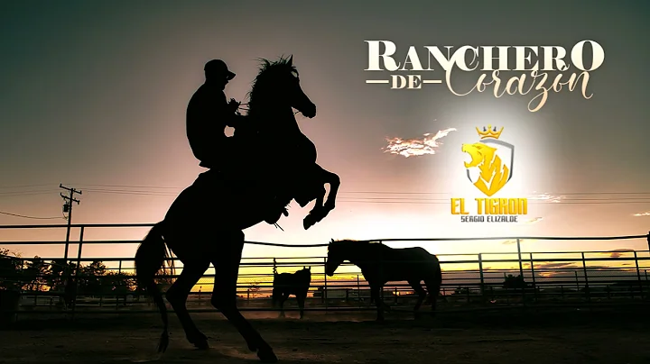 Ranchero De Corazn - El Tigrn Sergio Elizalde [Cor...