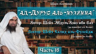 Важные уроки [18/22] — Соблюдение исламского этикета, и его составляющие | Халид аль-Фулейдж