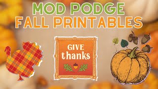 Crafty Secrets: An Insider's Mod Podge Tips and Tricks on how to decoupage  #plaidcrafts #modpodge in 2023