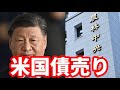 【米国債】農林中金か中国か!誰が米国債を売り崩しに来ているのか!米国債が売られている要因