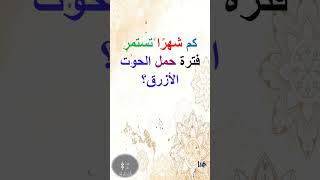 كم شهرًا تستمر فترة الحمل؟  shorts