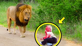 Hungry Lion Approaches An Abandoned Crying Boy, Then The Unthinkable Happens!