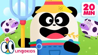 OLD MACDONALD HAD A FARM 👨🏼‍🌾🎶 + More Songs for Kids | Lingokids
