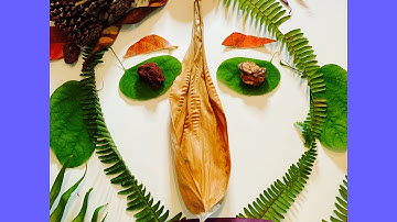 Nature Art - Found Objects