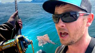 Alaska Deep Sea Fish You NEVER Knew about!