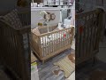 Your Dream Nursery at MacroBaby