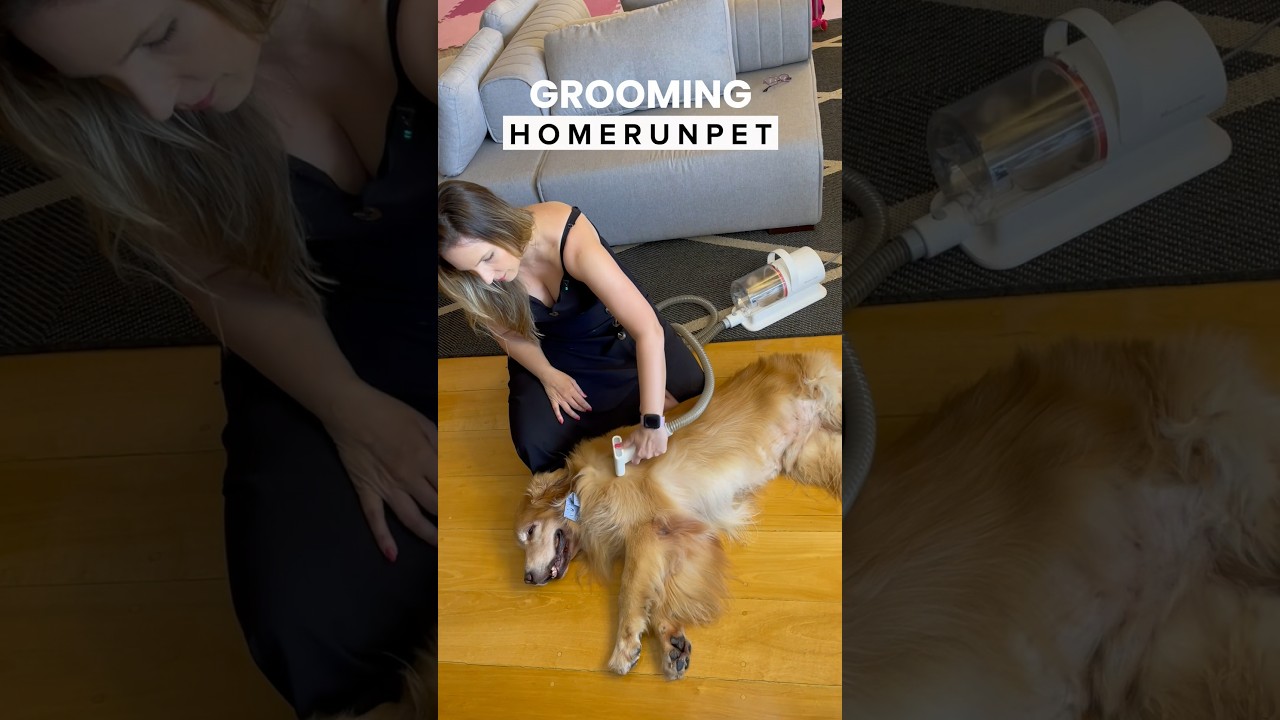 Pet Grooming Kit HomerunPET com Aspirador Silencioso e 6