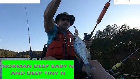Review of Norman Deep Baby N and Deep Tiny N Crankbait on the water trolling test 10-2-23.