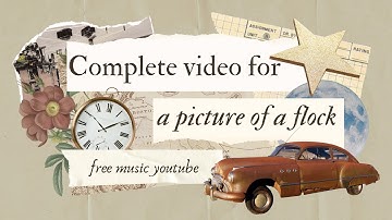 Complete video for a picture of a flock | free music youtube