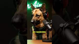 Funny Dog Podcast Perfect Day Gone Wrong Paws On Air