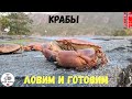 КРАБЫ! ЛОВИМ И ГОТОВИМ! Рыбалка в Норвегии. Норвегия. Рыбалка. Ловля крабов в Норвегии 2020.