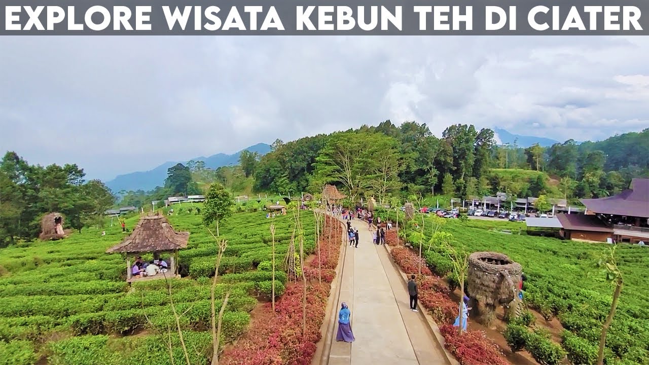 Kebun Teh Lembang