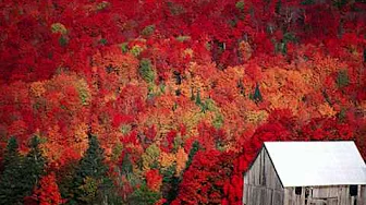 Carefree Highway - Gordon Lightfoot Carefree Highway - Gordon Lightfoot