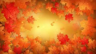 The Hidden Magic Behind Fall's Most Beautiful Colors!