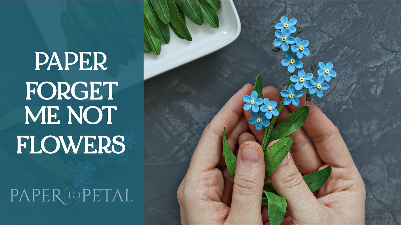 3D Paper Art Making Me Not (Myosotis) Flowers YouTube