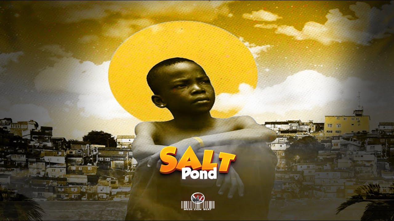 [FREE] AFROBEAT X MELODIC INSTRUMENTAL || SALT POND || PROD. BY MEDEZION BEATZ