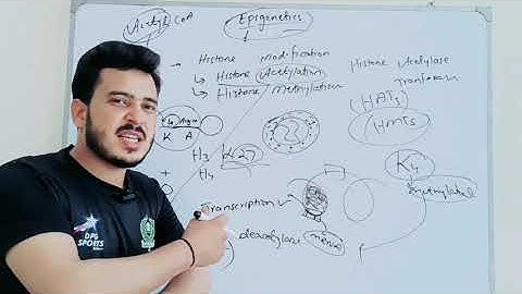 histone modifications|post translational modifications|PTMs