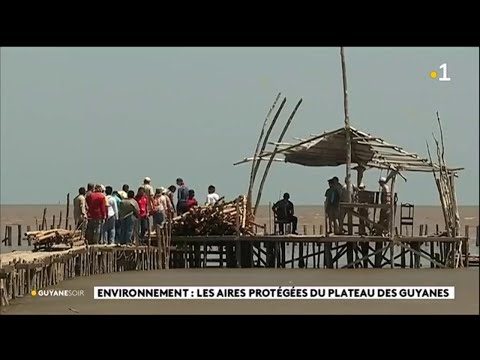 Vidéo: Plateau des Guyanes : description, localisation, climat