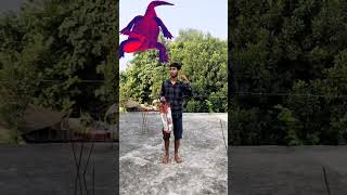 Flying Crying Babies Catch The Dancing Gorilla Cute Bhabhi & Talking Parrot Comedy