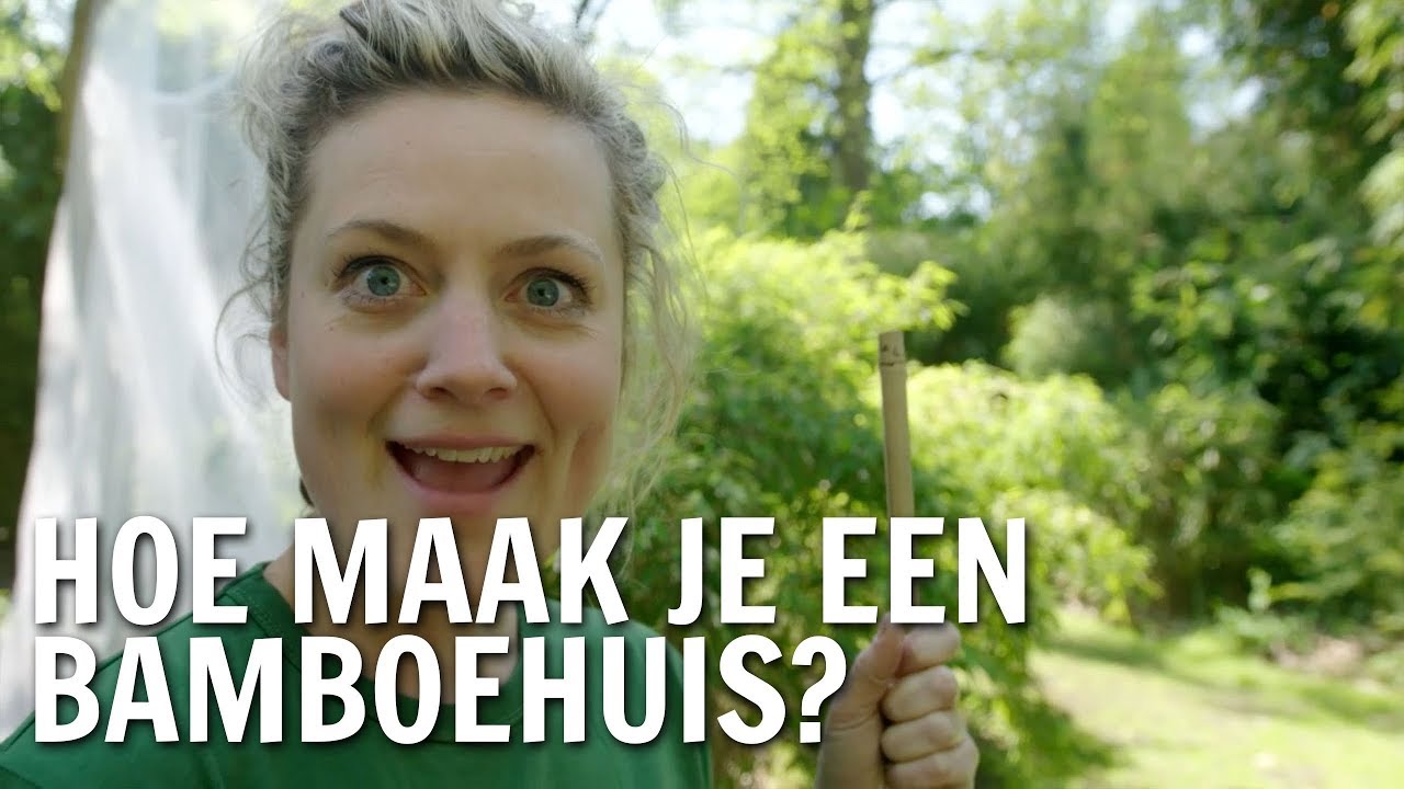 DIY: Maak je eigen bamboehuis! | De Buitendienst over Bamboe diya tailors