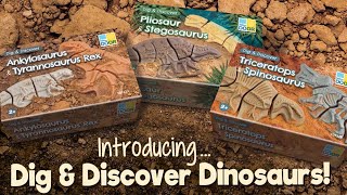 Dig Discover Dinosaurs